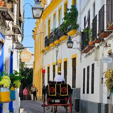 Lejlighed Petit Mansion Juderia Córdoba